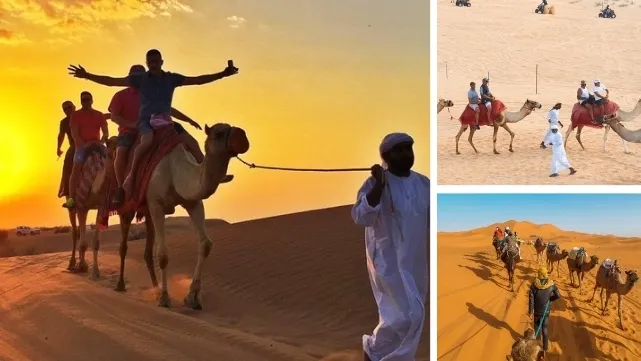 Evening Camel Caravan Desert Tour Dubai